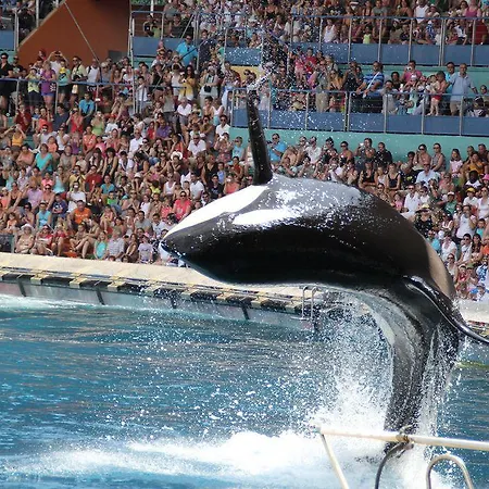 Western Journel Juan-les-pins מלון